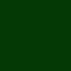 Protos  Kartón A1 170g 20l 09 zelená tmavě