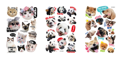 Florio Carta S.p.A.  Samolepka 3D Emotion set 7