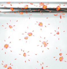 Celofán Blossom 100 x 130 cm - krémový ,balení 50 ks
