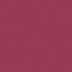 Ubrousky PM Airlaid 40x40 cm 12ks Claret