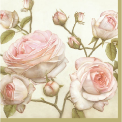 Ubrousky PAW Dekor L (20ks) Beauty Roses