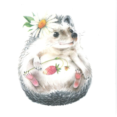 Ubrousky PAW Dekor L (20ks) Wild Strawberry Hedgehog