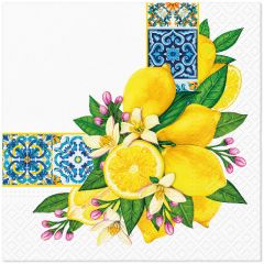 Ubrousky PAW Dekor L (20ks) Mediterranean Frame