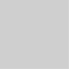 Ubrousky PAW Dekor L (20ks) Monocolor (silver)