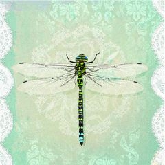 Ubrousky PAW Dekor L (20ks) Romantic Dragonfly