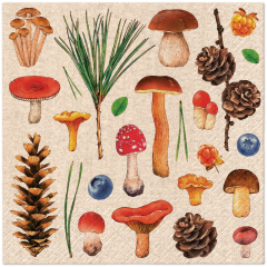 Paw  Ubrousky PAW Dekor We Care (20ks) Woodland Whimsy