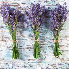 Pol-Mak  Ubrousky DAISY L (20ks) Three Bunches of Lavender