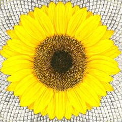 Pol-Mak  Ubrousky DAISY L (20ks) Sunflower on Seeds