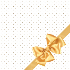 Ubrousky DAISY L (20ks) Golden Bow Elegance