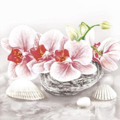 Pol-Mak  Ubrousky DAISY L (20ks) Orchid on Oriental Stone with Shelss