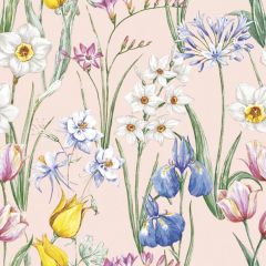 Ubrousky DAISY L (20ks) Spring Flowers Meadow