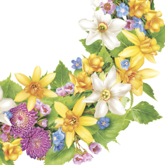 Ubrousky 33 x 33 cm DAISY 20 ks