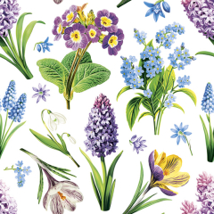 Pol-Mak  Ubrousky 33 x 33 cm DAISY 20 ks