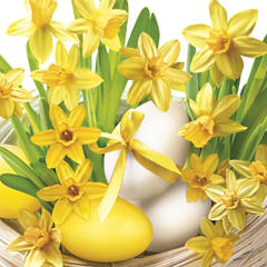 Ubrousky DAISY L (20ks) Sunny Daffodils with Eggs