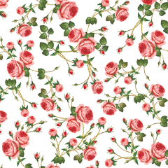 Ubrousky MAKI L (20ks) Small Roses White