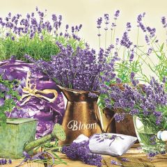 Pol-Mak  Ubrousky MAKI L (20ks) Blooming Lavender Cream