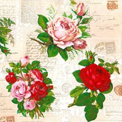 Ubrousky MAKI L (20ks) English Roses