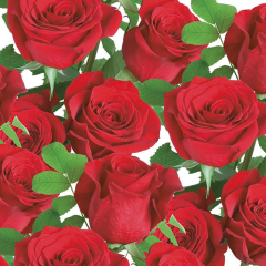 Ubrousky MAKI L (20ks) Classic Red Roses