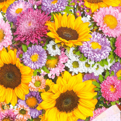 Pol-Mak  Ubrousky MAKI L (20ks) Colourful Summer Flowers Background