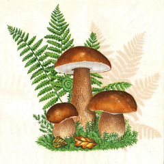 Pol-Mak  Ubrousky MAKI L (20ks) Boletus with Leaves of Fern