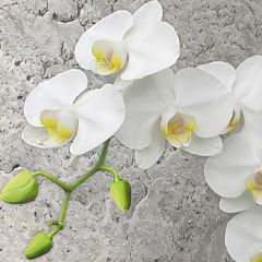 Ubrousky MAKI L (20ks) White Orchid on Concrete Back