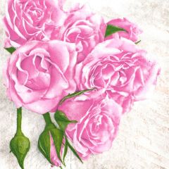 Pol-Mak  Ubrousky MAKI L (20ks) Light Pink Roses with Buds