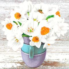 Ubrousky MAKI L (20ks) Cup Full of White Daffodils