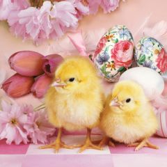 Pol-Mak  Ubrousky MAKI L (20ks) Lovely Chickens among Pink
