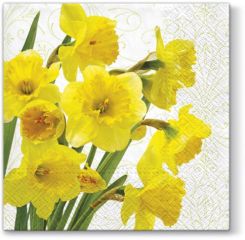 Paw  Ubrousky PAW TETE L (20ks) Yellow Daffodllis