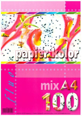 Kreska  Xero papír A4 100l mix kolor fluo
