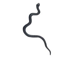 UNIPAP  had plast 18cm 12ks černý 1042555