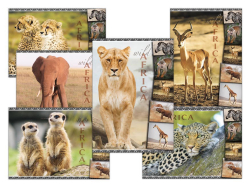 UNIPAP  pohlednice sr Z039 B UV 1230306