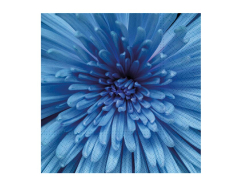 UNIPAP  ubrousek P 33x33 celorok SDL897005 2011176