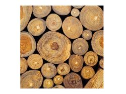 UNIPAP  ubrousek P 33x33 celorok SDL895000 2011186