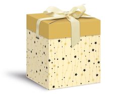 UNIPAP  krabička dárková vánoční 12x12x15cm 5370572
