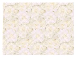 UNIPAP  balicí papír K348 100x70 LUX 5811898