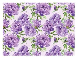 balicí papír K360 100x70 LUX 5811916