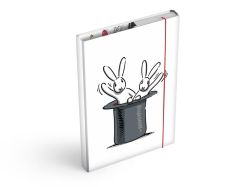 desky na sešity box A4 Bob a Bobek 8021092