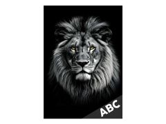 desky na ABC Lev 8021161