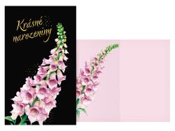 přání srdečné M11-596 H PRANI_H_711