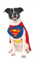 Kostým pro pejska Superman