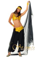 Kostým Břišní tanečnice