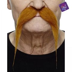 Knír do špičky zahnutý rezavý
