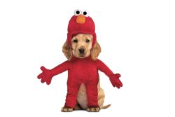 Kostým pro pejska Elmo