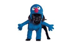 Kostým pro pejska Grover