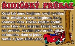 Průkaz Řidičský průkaz