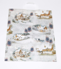 Taška zimní inspirace (4080)