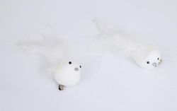 Ptáček bílý na klipu 10cm, 2ks /3280/