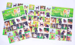 Pexeso MFP PEJSCI  ( 5300902 )