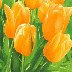 Papírový ubrousek Fresh Sunny Tulips